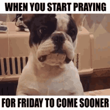"When you start praying for Friday to come sooner."