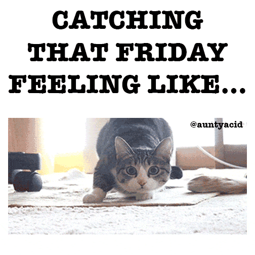 I hope you enjoyed these "Almost Friday" memes! Catching that Friday feeling like...