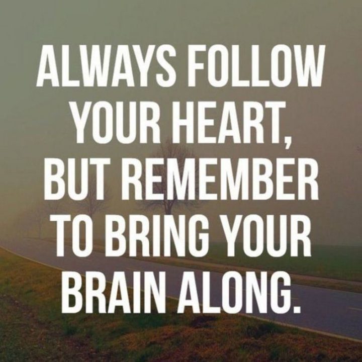 53 Funny Love Quotes - "Always follow your heart, but remember to bring your brain along!" - Anonymous