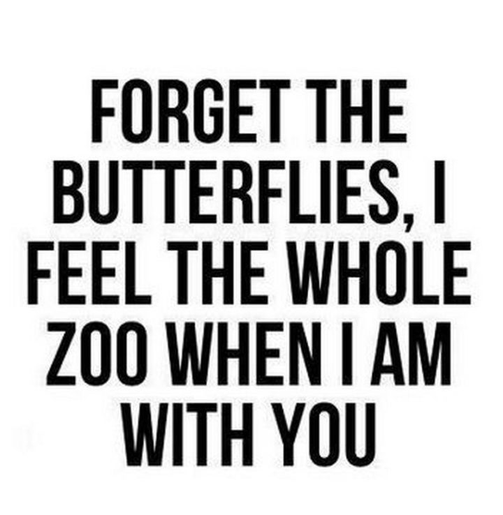 53 Funny Love Quotes - "Forget the butterflies, I feel the whole zoo when I am with you." - Anonymous