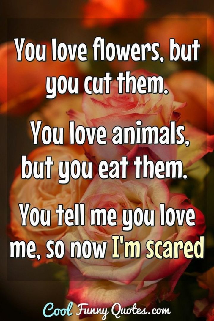 53 Funny Love Quotes - "You love flowers, but you cut them. You love animals, but you eat them. You tell me you love, so now I'm scared." - Anonymous
