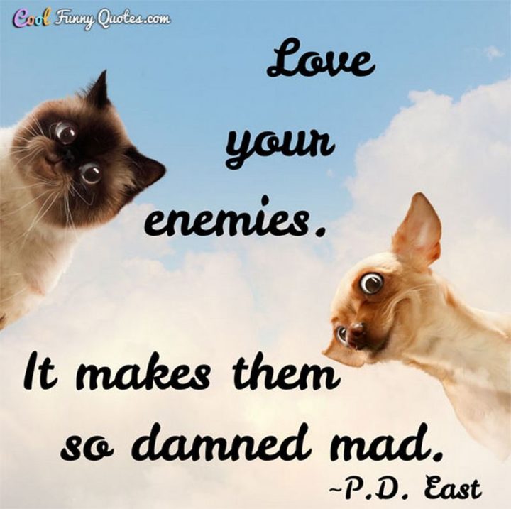 53 Funny Love Quotes - "Love your enemies. It makes them so damned mad." - P.D. East