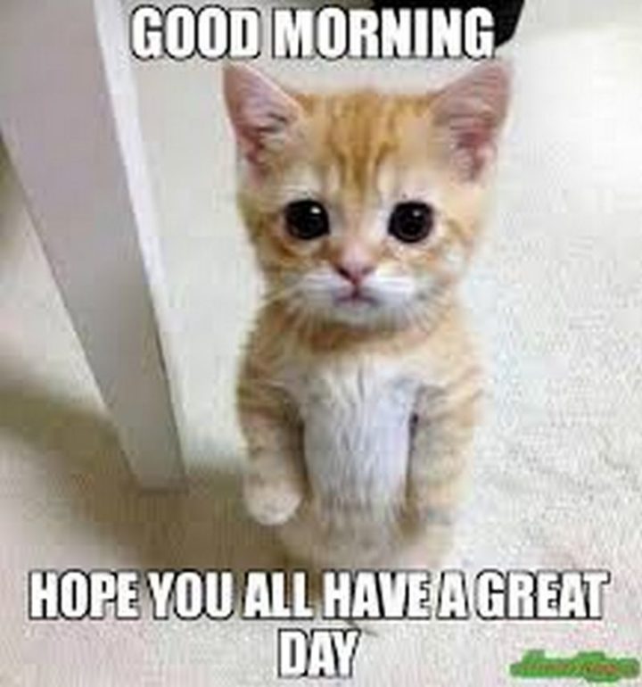 101 "Have a Great Day" Memes - "Good morning. Hope you all have a great day."
