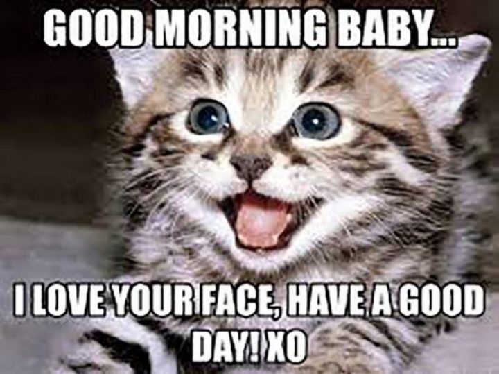 101 "Have a Great Day" Memes - "Good morning baby...I love your face, have a good day! XO."