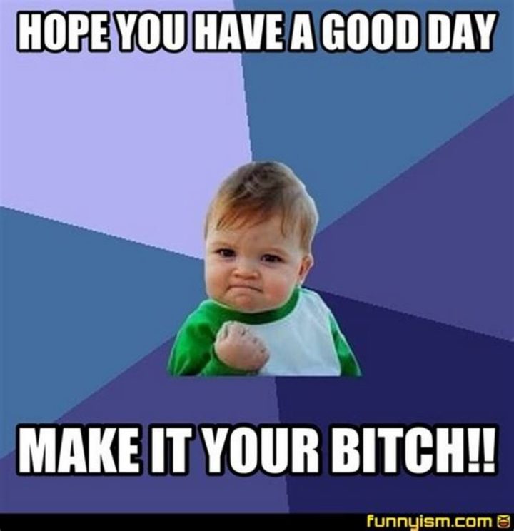 101 "Have a Great Day" Memes - "Hope you have a good day. Make it your [censored]."
