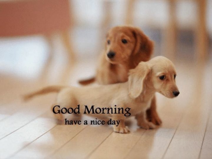"Good morning. Have a nice day."