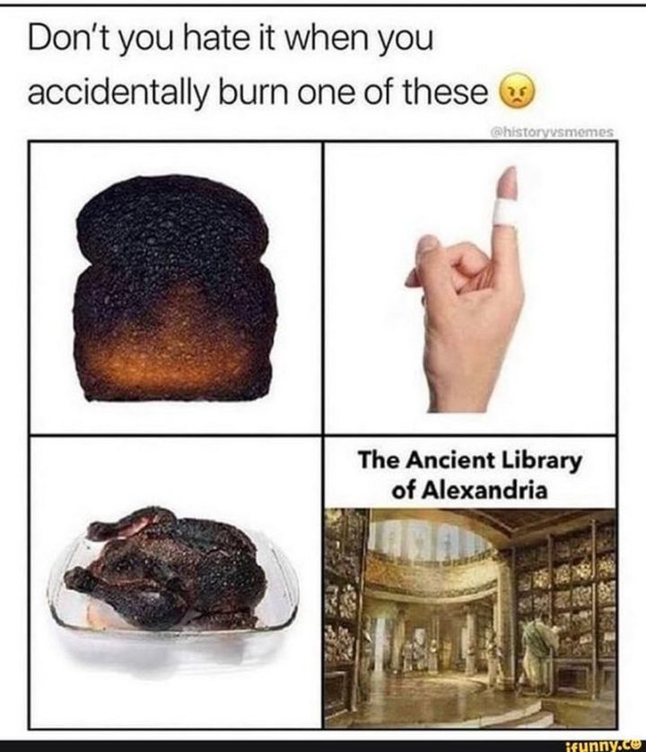 55 Funny History Memes - "Don't you hate it when you accidentally burn one of these: Toast. Finger. Chicken. The ancient Library of Alexandria."