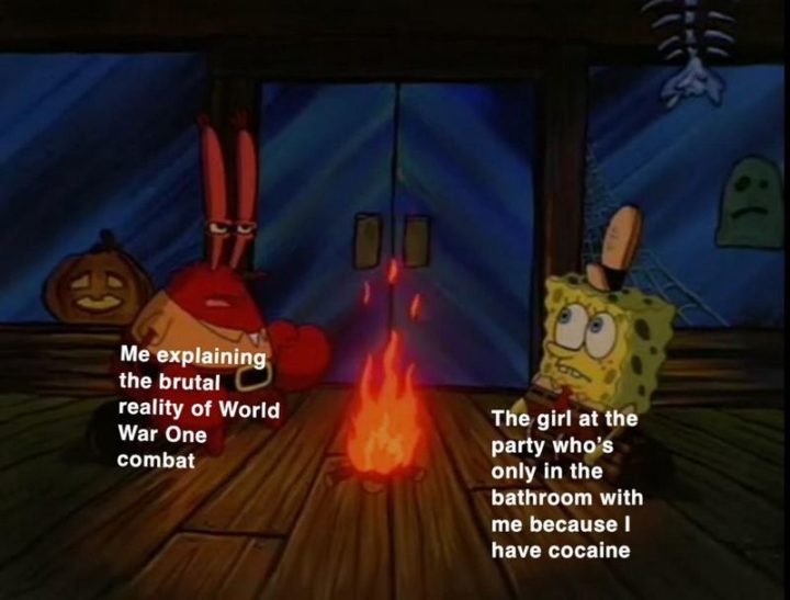 55 Funny History Memes - "Me explaining the brutal reality of the World War One combat. The girl in the party who's only in the bathroom with me because I have cocaine."