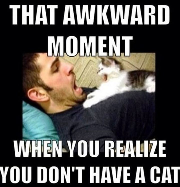 "That awkward moment when you realize you don't have a cat."