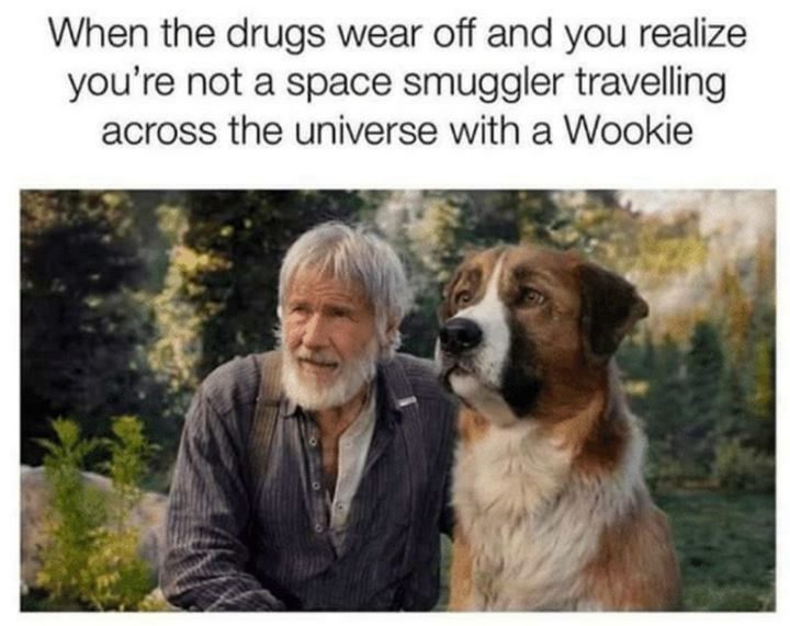 "When the drugs wear off and you realize you're not a space smuggler traveling across the universe with a Wookie."