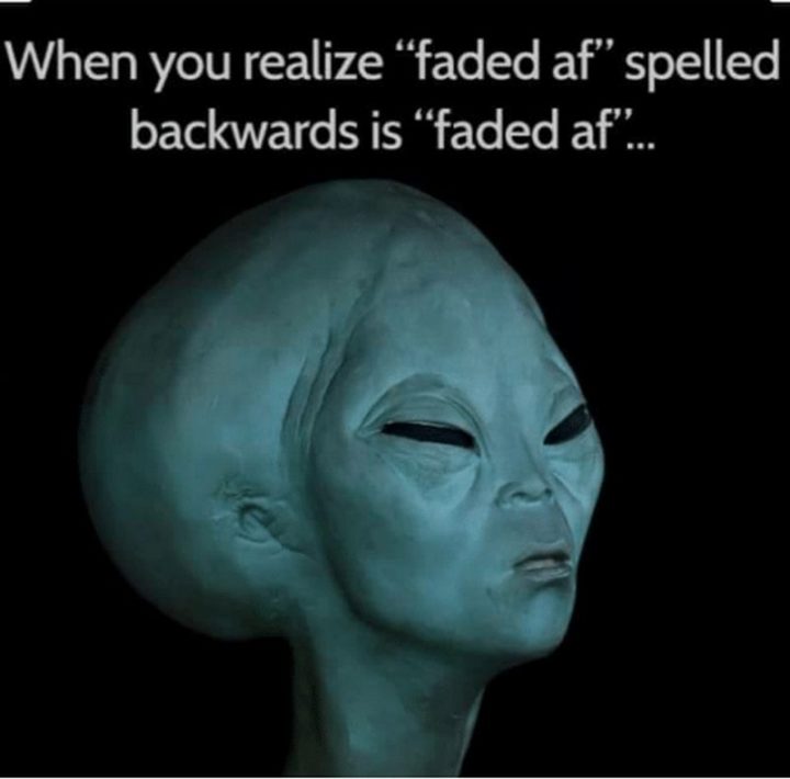 "When you realize 'Faded AF' spelled backward is 'Faded AF'..."