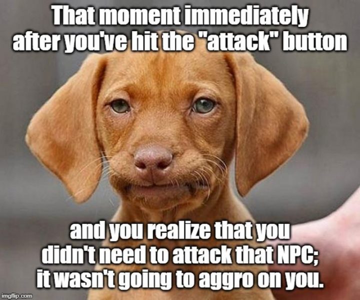 "That moment immediately after you've hit the 'attack' button and you realize that you didn't need to attack that NPC; It wasn't going to aggro on you."