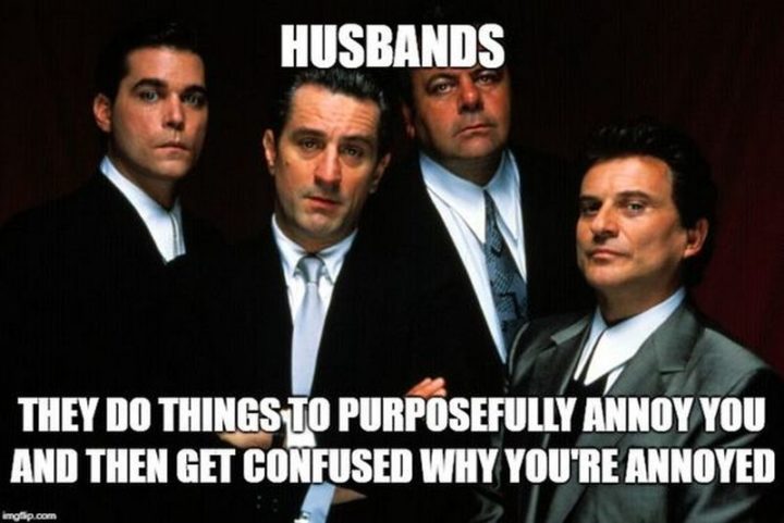 "Husbands: They do things to purposefully annoy you and then get confused why you're annoyed."