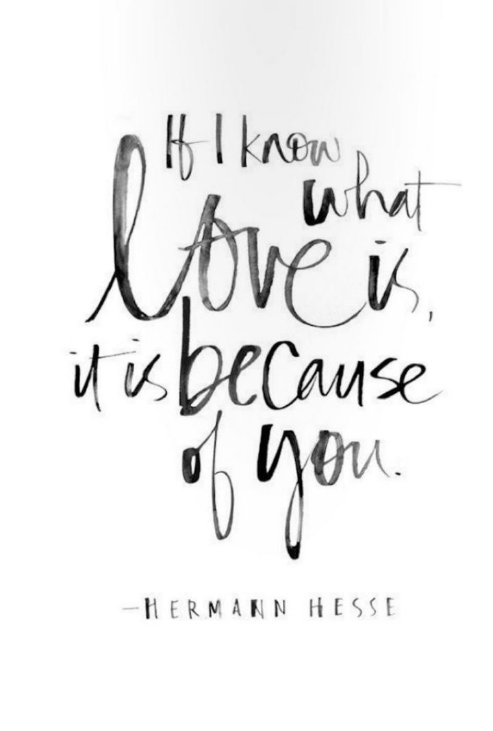 "If I know what love is, it is because of you." - Hermann Hesse