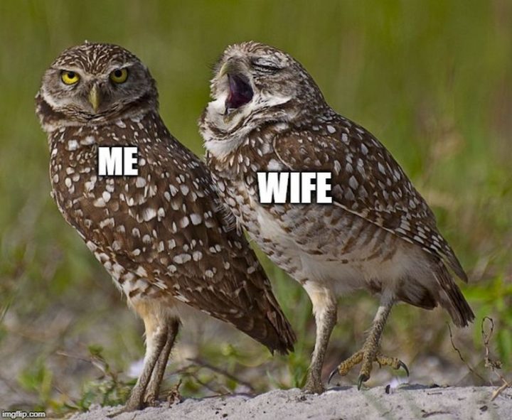 "Me VS Wife."