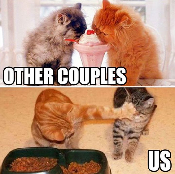 "Other couples VS Us."