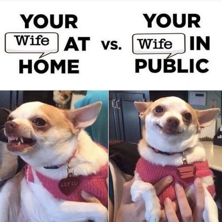 "Your wife at home VS Your wife in public."