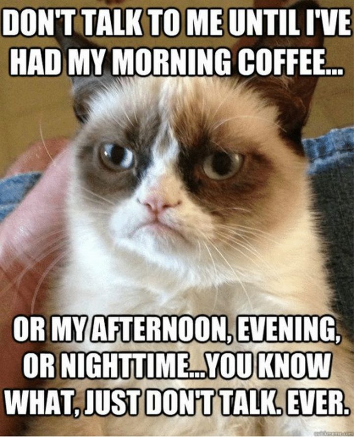 "Don't talk to me until I've had my morning coffee...Or my afternoon, evening or nighttime...You know what, just don't talk. Ever."