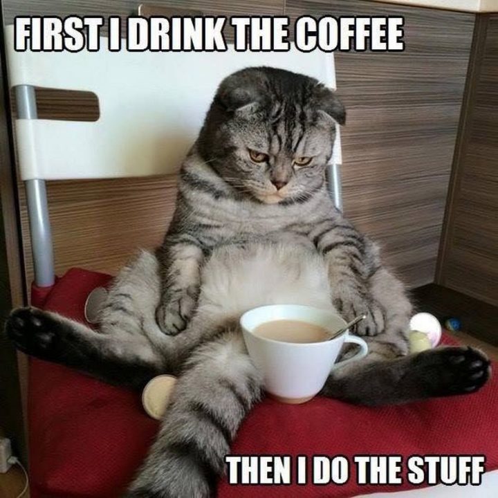"First I drink the coffee, then I do the stuff."
