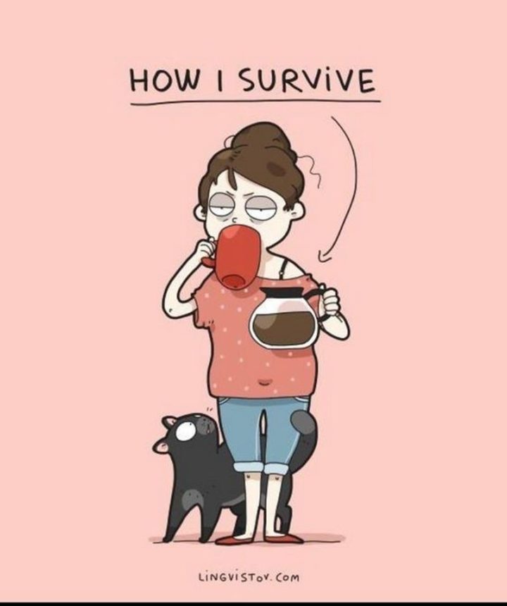 "How I survive."