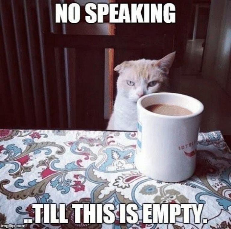 87 Funny Coffee Memes Are What You Need For The Daily Morning Grind 87-funny-coffee-memes-are-what-you-need-for-the-daily-morning-grind