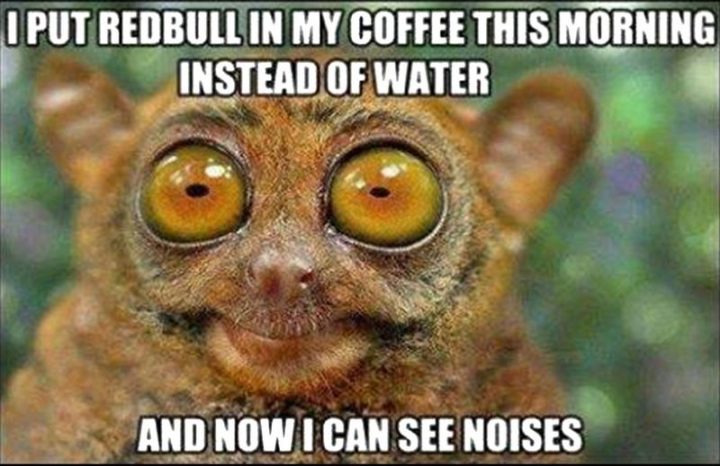 "I put Red Bull in my coffee this morning instead of water and now I can see noises."