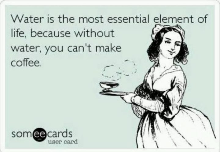 "Water is the most essential element of life because, without water, you can't make coffee."