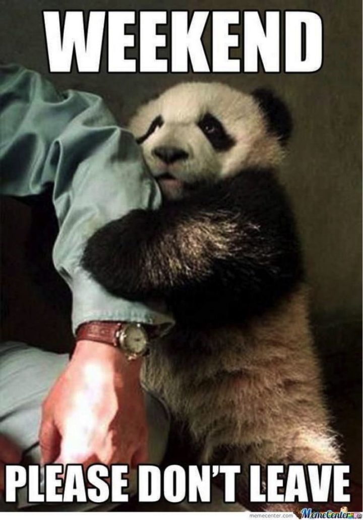 "Weekend, please don't leave."