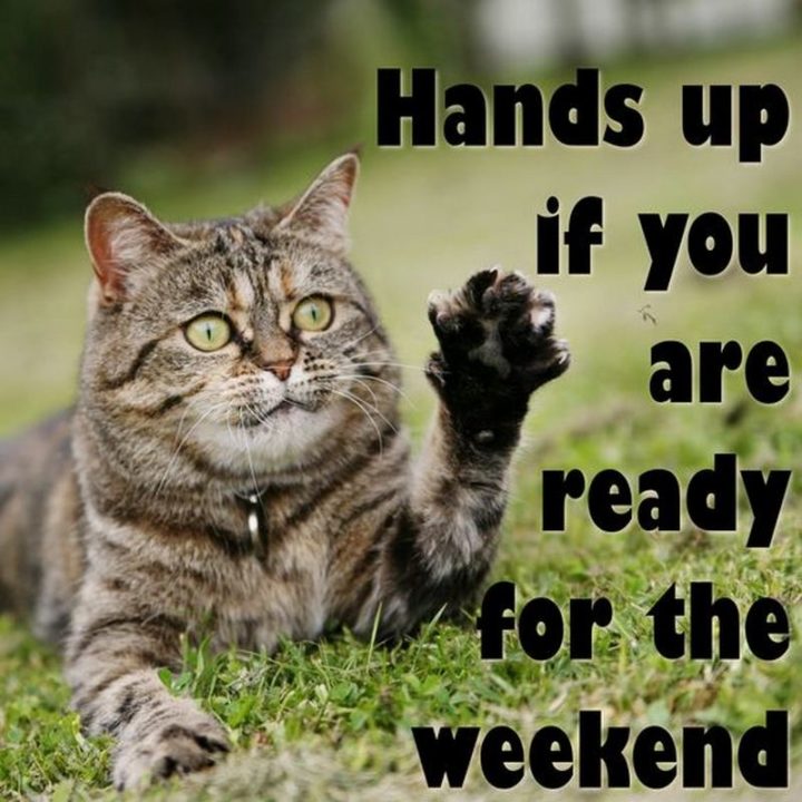 "Hands up if you are ready for the weekend."