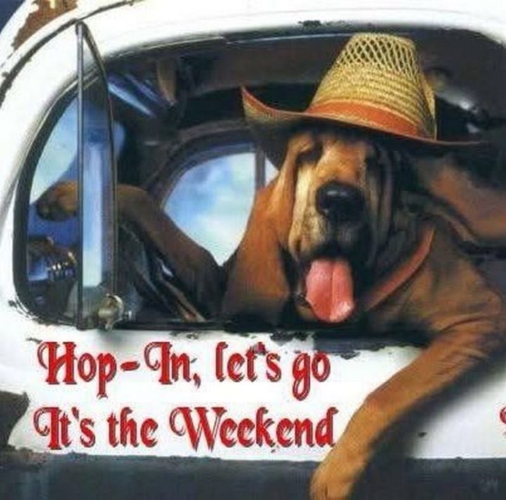"Hop-in, let's go. It's the weekend."