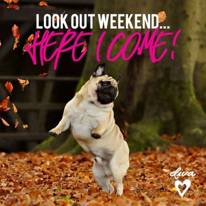 "Look out weekend...Here I come!"