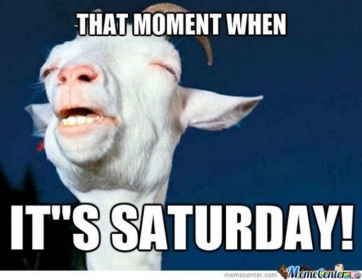 "That moment when it's Saturday!"