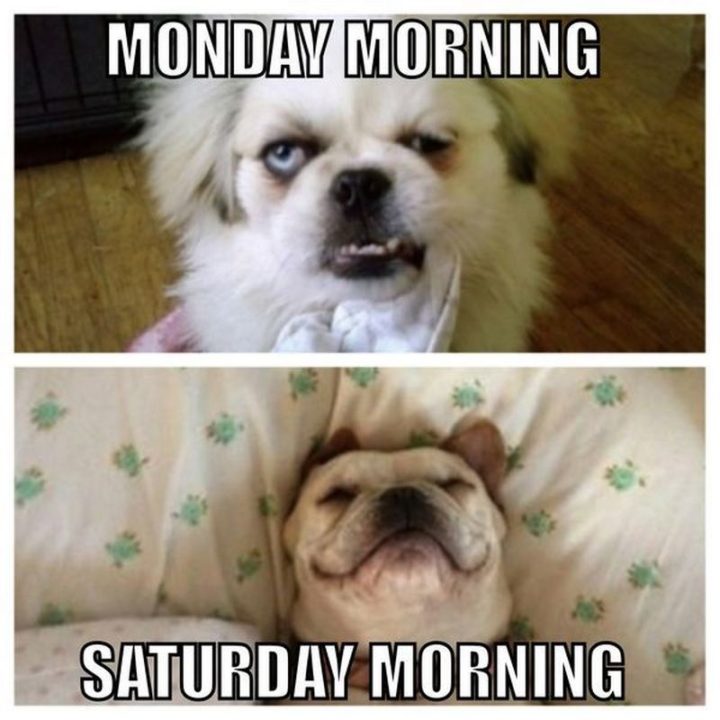 "Monday morning VS Saturday morning."