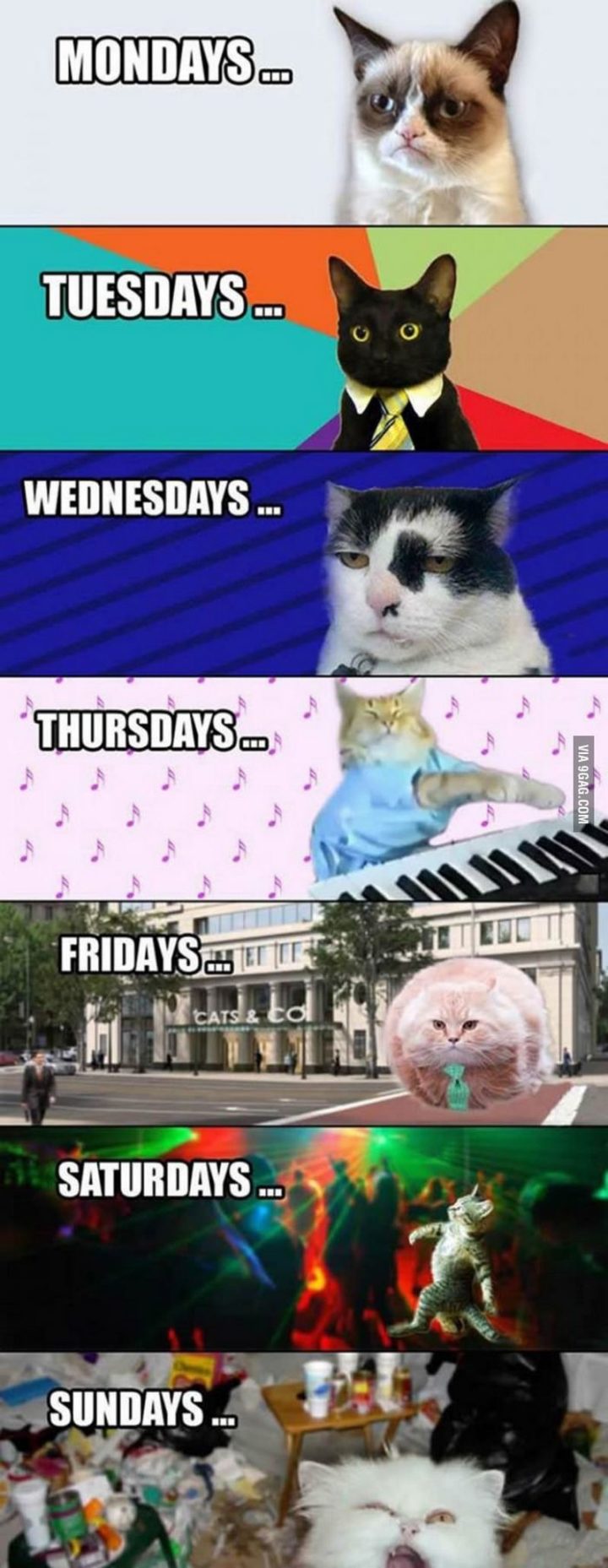 "Mondays...Tuesdays...Wednesdays...Thursdays...Fridays...Saturdays...Sundays..."