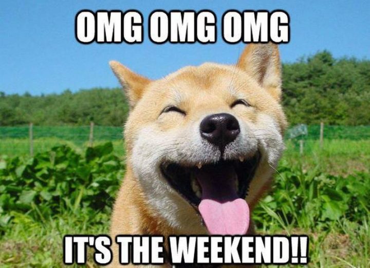 "OMG OMG OMG, It's the weekend!!