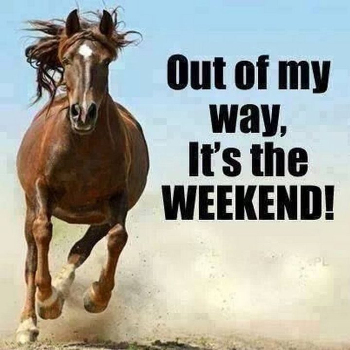 "Out of my way, it's the weekend!"