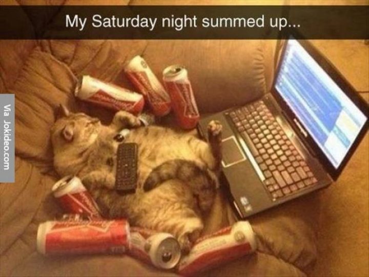 "My Saturday night summed up..."