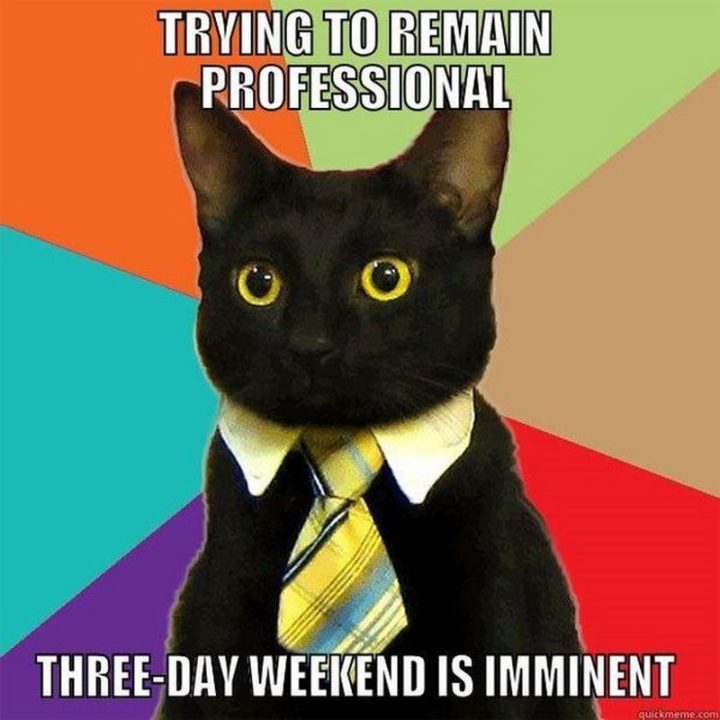 "Trying to remain professional. Three-day weekend is imminent."
