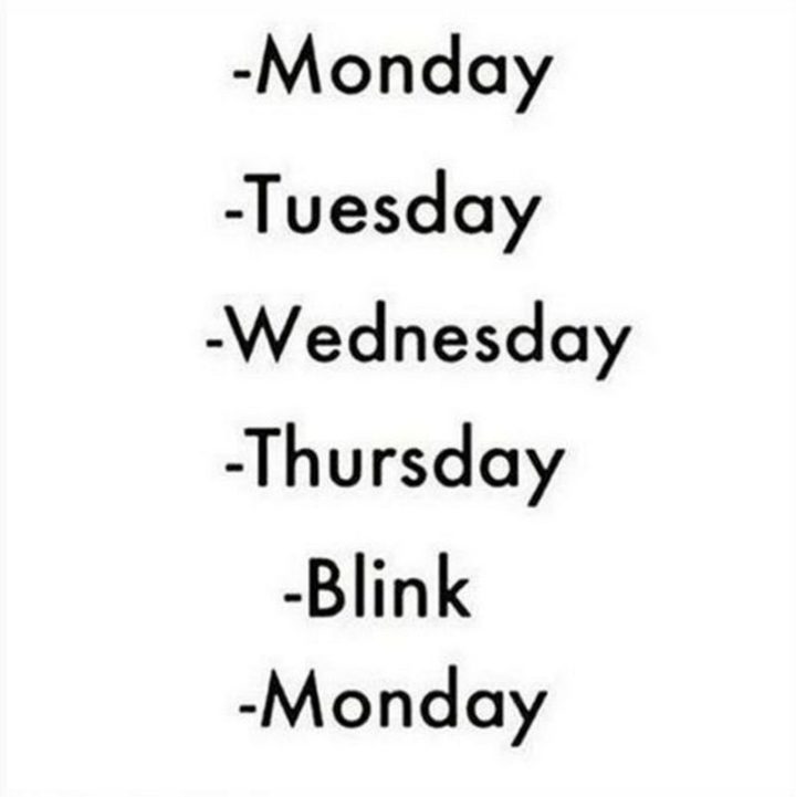 "Monday. Tuesday. Wednesday. Thursday. Blink. Monday."