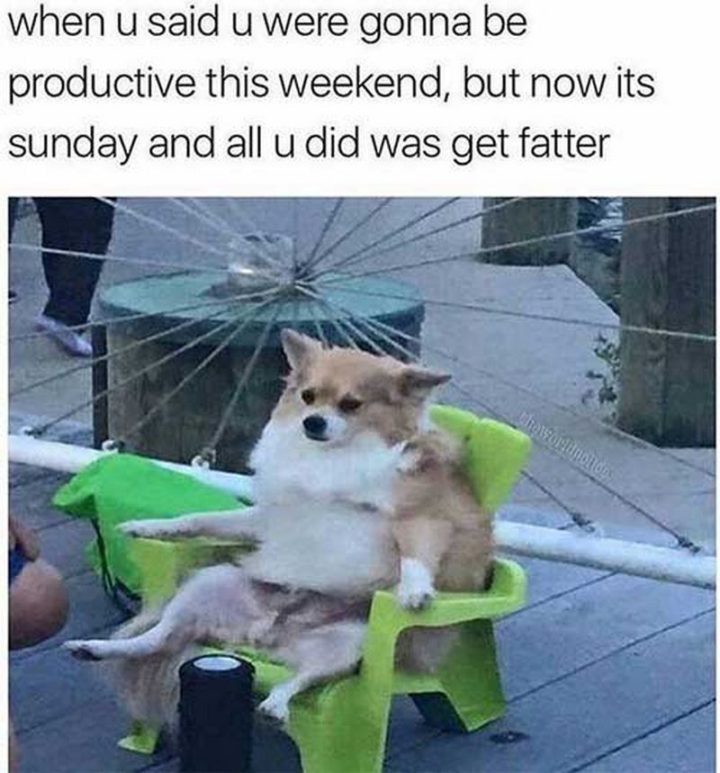 "When u said u were gonna be productive this weekend, but now it's Sunday and all u did was get fatter."