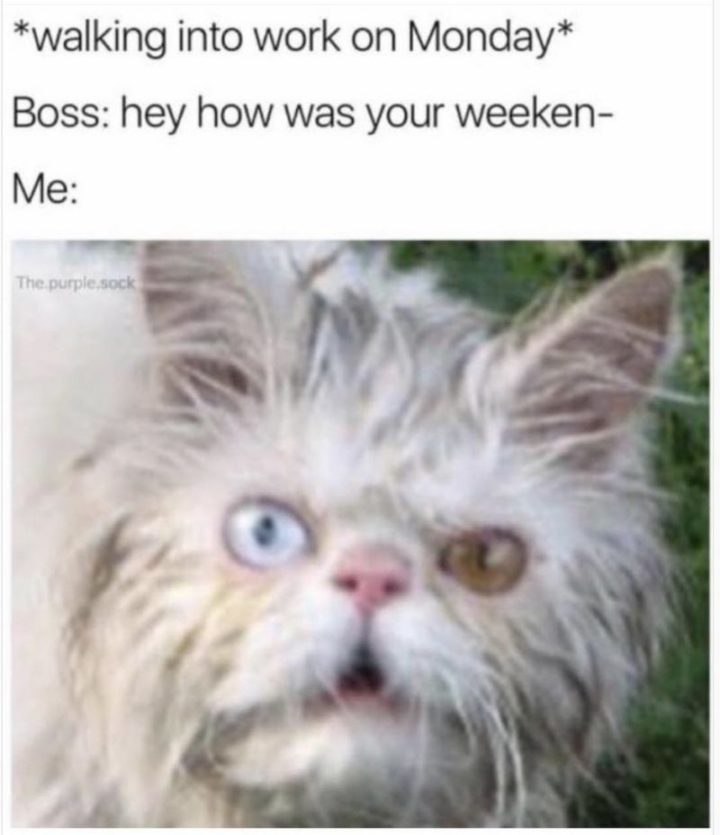 "*walking into work on Monday* Boss: Hey how was your weeken- Me:"