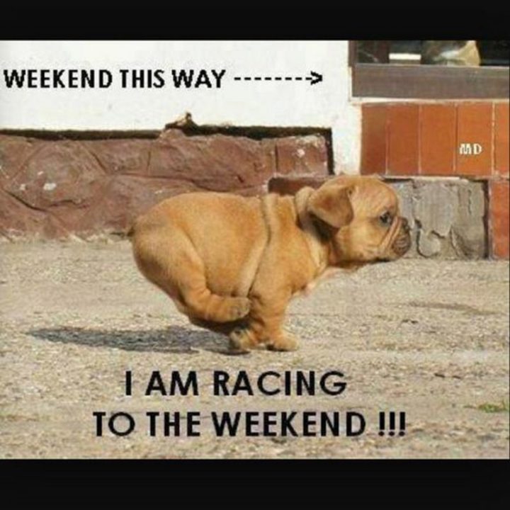 "I am racing to the weekend!!!"