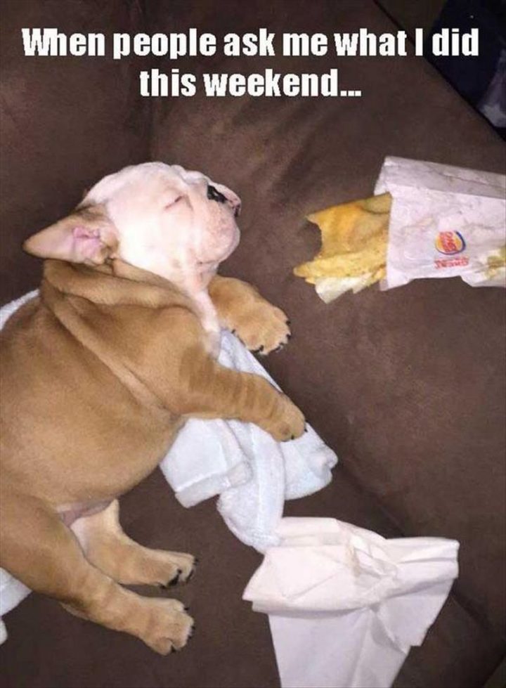 "When people ask me what I did this weekend."