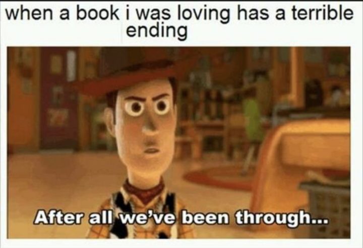 73 Funny Reading Memes - "When a book I was loving has a terrible ending: After all we've been through..."