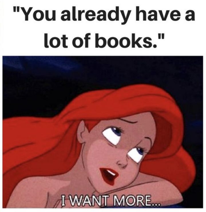 73 Funny Reading Memes - "You already have a lot of books. I want more..."