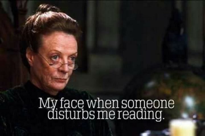 "My face when someone disturbs me reading."