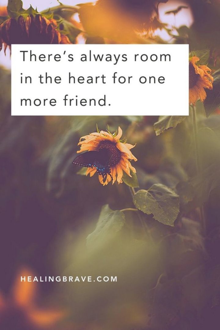 "There's always room in the heart for one more friend.