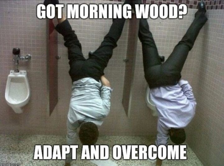 "Got morning wood? Adapt and overcome."