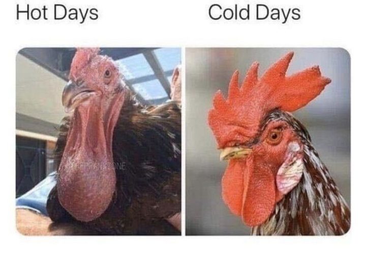 "Hot days vs cold days."