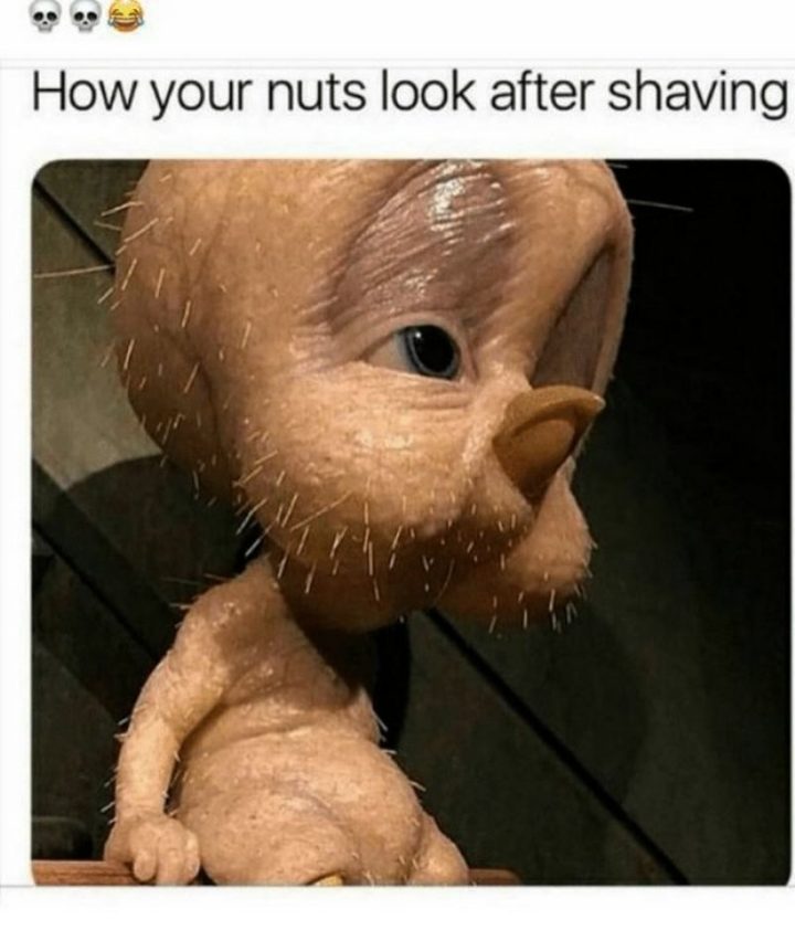 "How your nuts look after shaving."